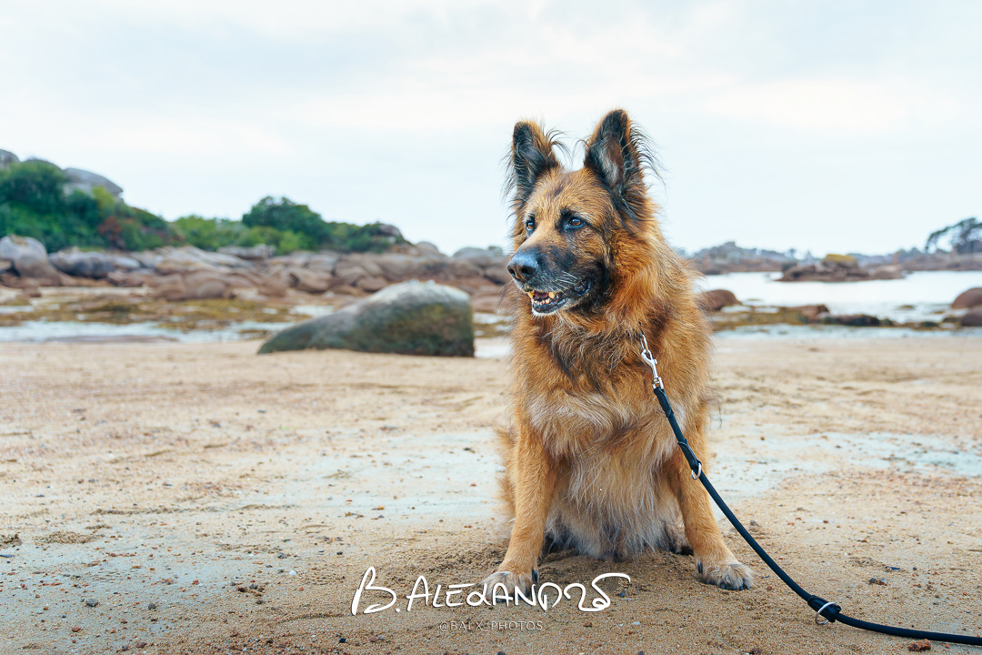 Photo 010 | Bertrand ALEXANDRE – Compagnons